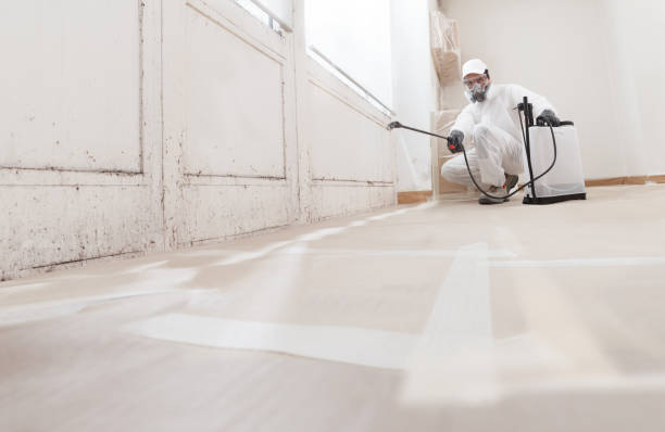 24/7 Emergency Mold Remediation experts in Milliken, CO
